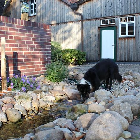 Landgasthof Wildwasser Wolthausen Exterior photo